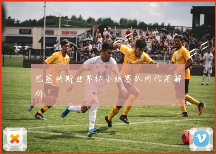 巴塞纳斯世界杯小组赛队内作用解析