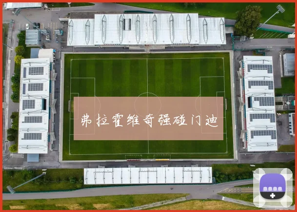 弗拉霍维奇强碰门迪