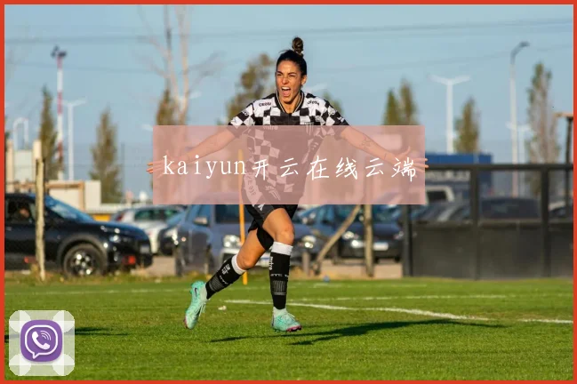 kaiyun开云在线云端