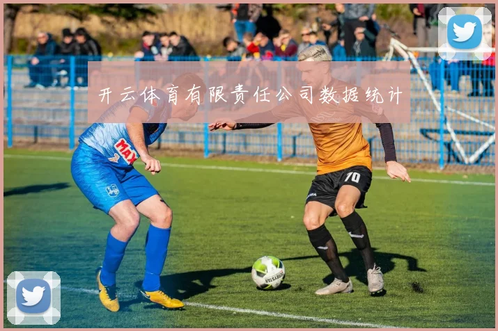 开云体育有限责任公司数据统计