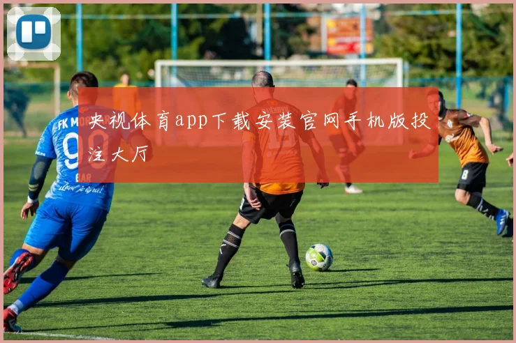 央视体育app下载安装官网手机版投注大厅