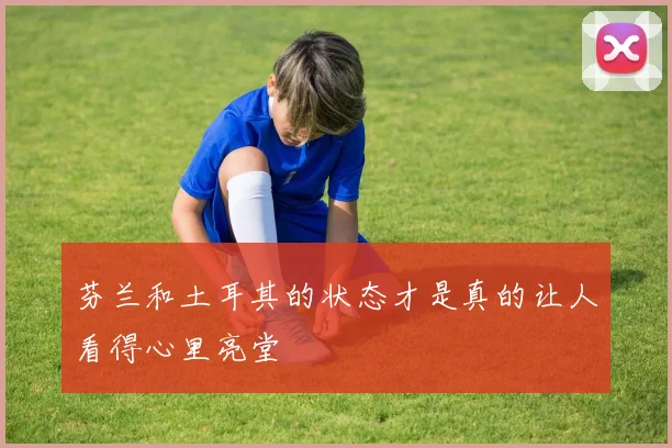芬兰和土耳其的状态才是真的让人看得心里亮堂