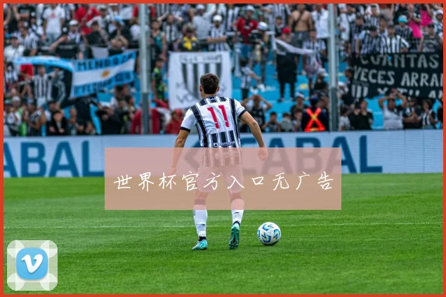 世界杯官方入口无广告