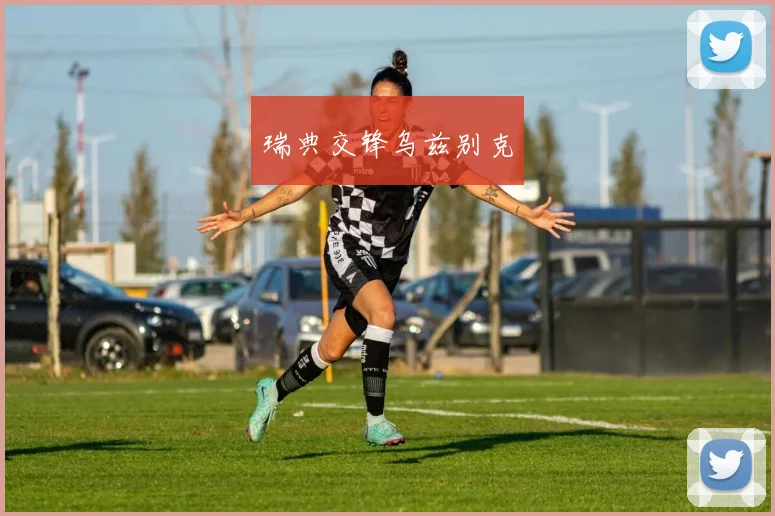 瑞典交锋乌兹别克