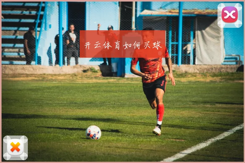 开云体育如何买球
