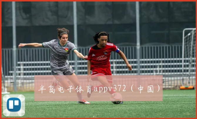 半岛电子体育appv372（中国）