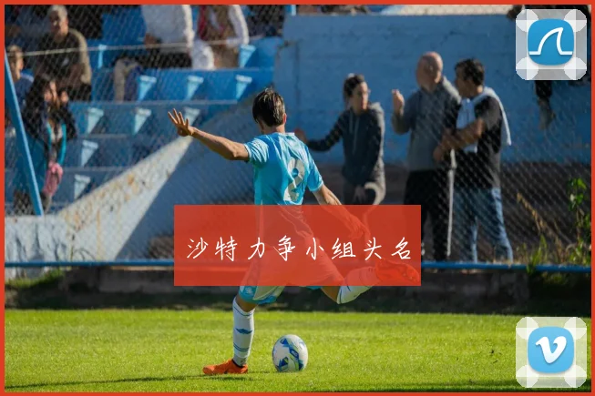沙特力争小组头名