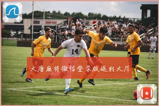 大唐麻将微信登录版返利大厅