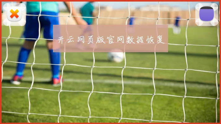开云网页版官网数据恢复
