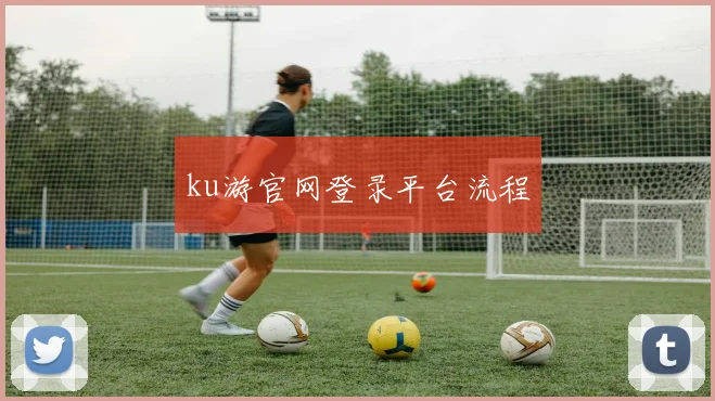 ku游官网登录平台流程