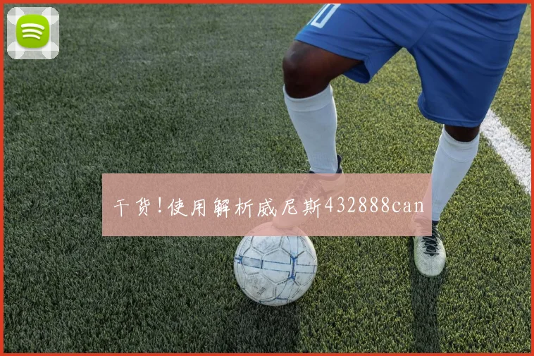 干货!使用解析威尼斯432888can