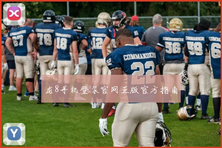 龙8手机登录官网正版官方指南