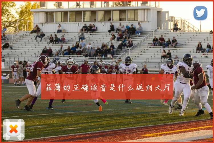 菲薄的正确读音是什么返利大厅