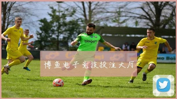 博鱼电子竞技投注大厅