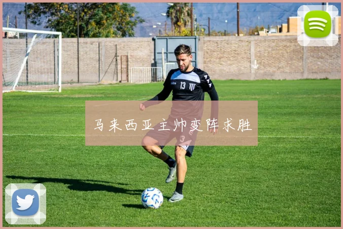 马来西亚主帅变阵求胜