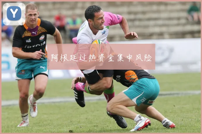 阿根廷过热资金集中风险