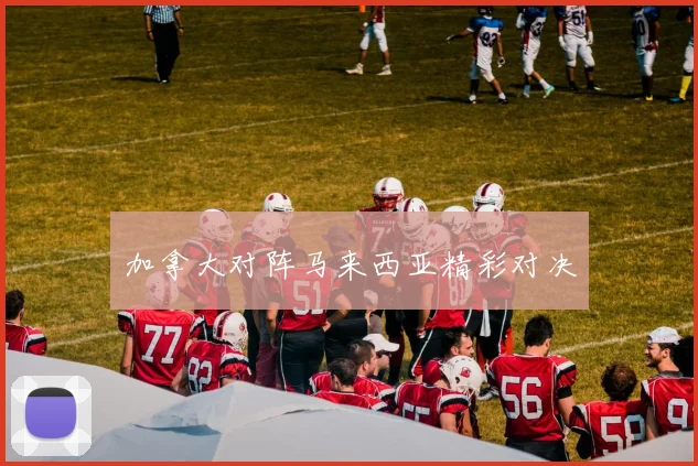 加拿大对阵马来西亚精彩对决