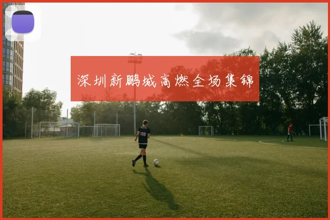 深圳新鹏城高燃全场集锦