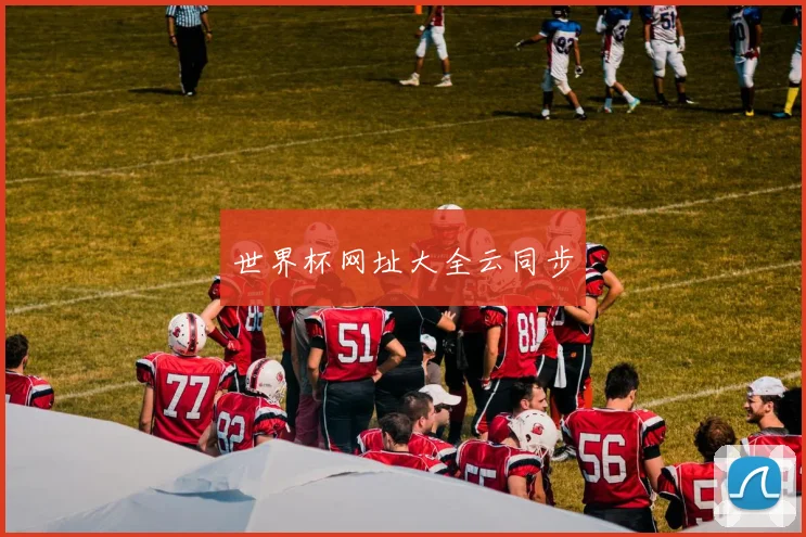 世界杯网址大全云同步