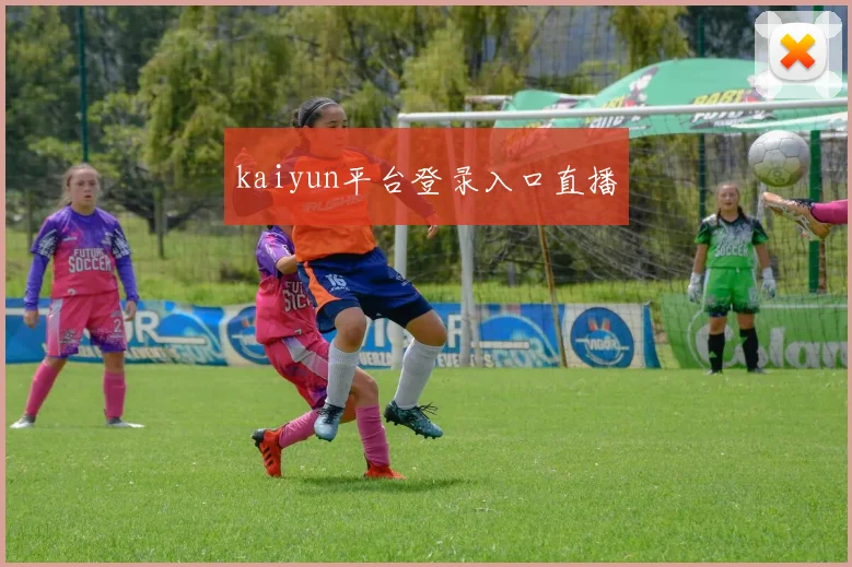 kaiyun平台登录入口直播