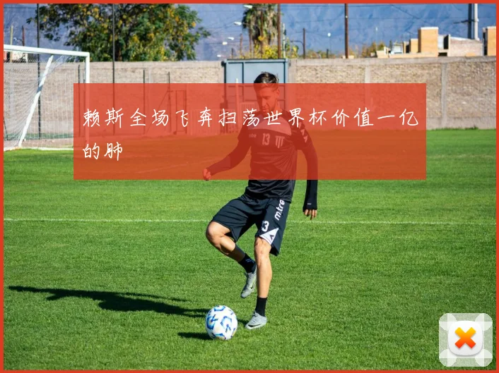 赖斯全场飞奔扫荡世界杯价值一亿的肺