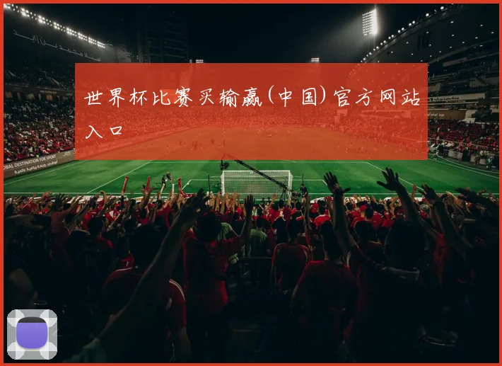 世界杯比赛买输赢(中国)官方网站入口
