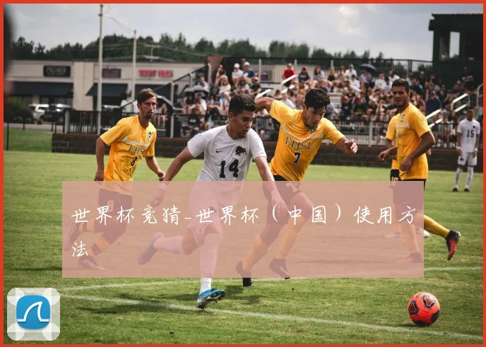 世界杯竞猜_世界杯（中国）使用方法