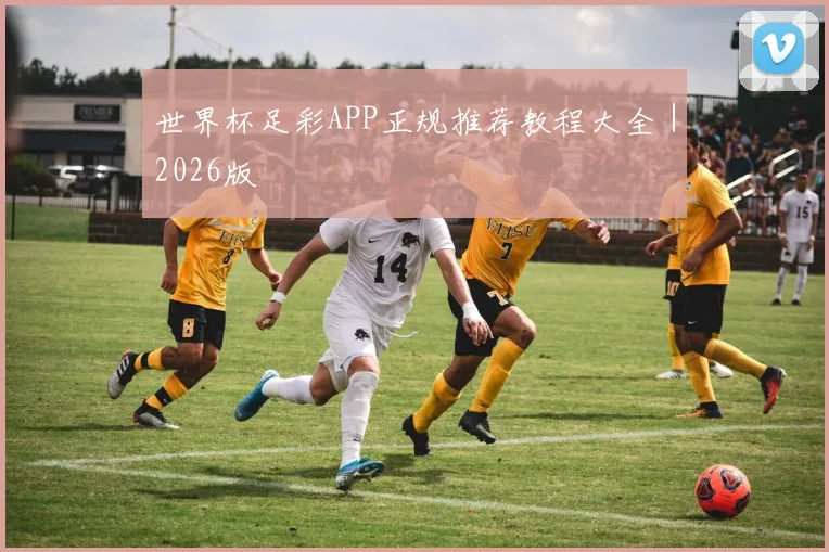 世界杯足彩APP正规推荐教程大全｜2026版