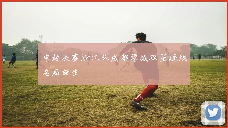 中超决赛浙江队成都蓉城双星连线名局诞生
