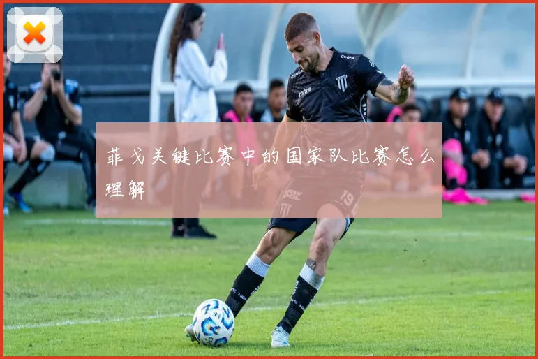 菲戈关键比赛中的国家队比赛怎么理解