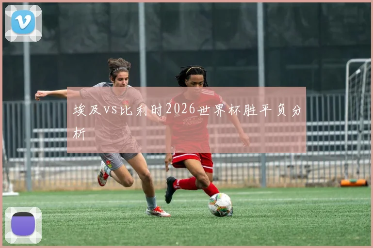 埃及vs比利时2026世界杯胜平负分析