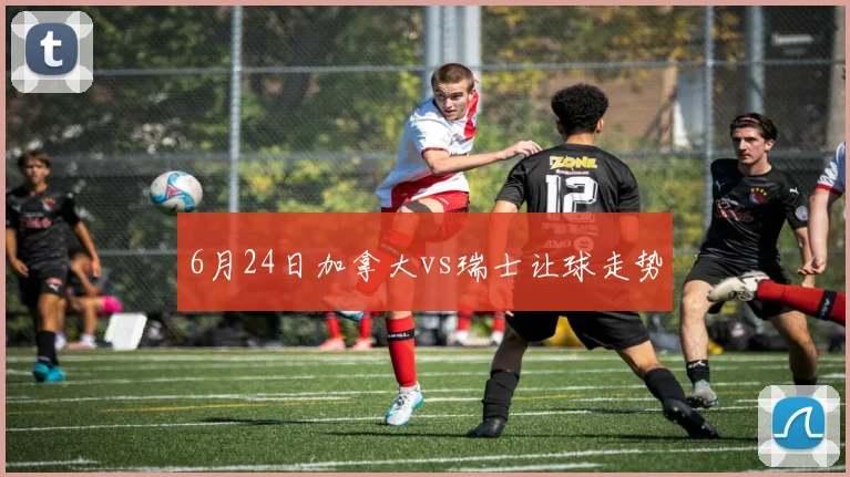 6月24日加拿大vs瑞士让球走势