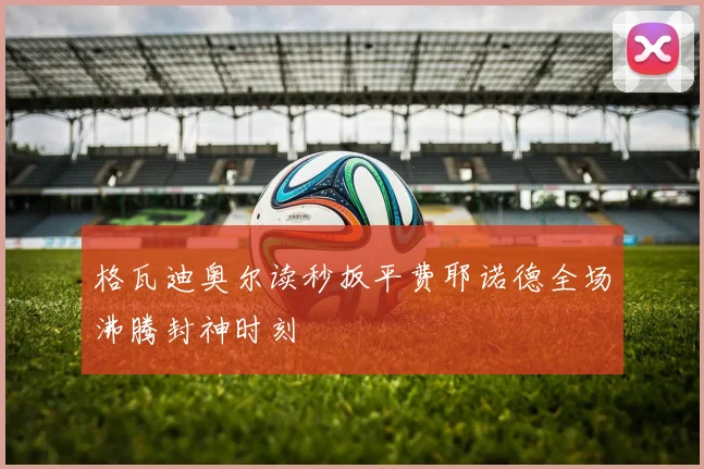 格瓦迪奥尔读秒扳平费耶诺德全场沸腾封神时刻
