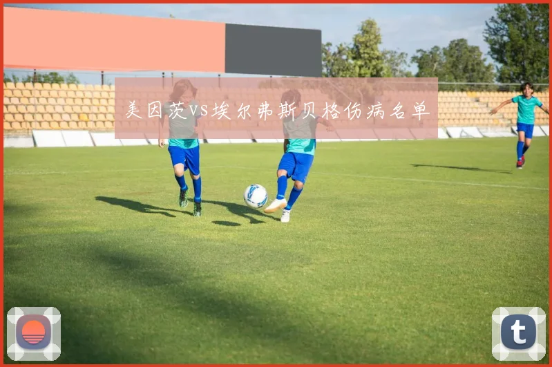 美因茨vs埃尔弗斯贝格伤病名单